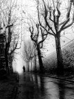 nebbia