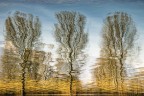 riflessi