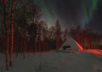 Magia nel bosco