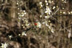 La mia prima uscita in collina con la famiglia...per inaugurare la primavera in arrivo.....