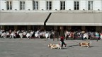 Trieste  024