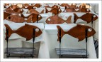 Pesce pazzo...