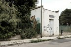 Trepuzzi