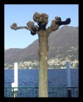 ..l'intruso