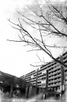 Grey world