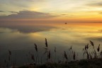 Valli di Comacchio