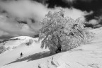 ST_DSC3053
