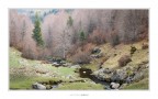 ''Terra di elfi e fate'' Quando Inverno, Primavera e sprazzi