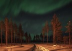 A rain of light