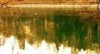 Riflessi.