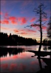 Lago Pontini
...tra Romagna e Toscana

Commenti e consigli sempre graditi