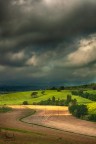 Contrasti di primavera