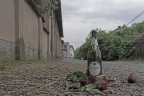 Amore di strada