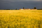 LIGHT ON THE LAND