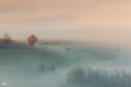Morning Fog Morning Fog