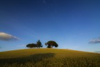 Campagna romana