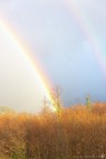 Aspromonte, poco prima dell'acqua seria!