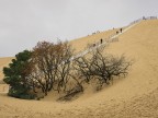 Dune du Pilat Dune du Pilat