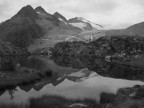 adamello
