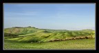 Asciano, dintorni.