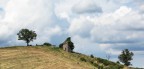 Collina bolognese