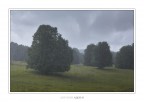 Rain in the dark