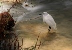 sul fiume