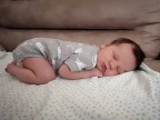 Il mio bimbo di una settimana. Foto scattata col cellulare, huawei p20 con impostazione automatica modalit ritratto.
So che non  altro che l'ennesima foto fatta col telefono, coi filtri messi dal telefono, ma credo che abbia un suo perch. Considerando che l'ho messo a pancia in gi e in quella posizione poi si  messo da solo. E' stato un caso ma l'espressione, la posa e i colori del body e del divano non so mi sembravano perfetti.