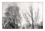 riflessi