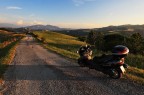 Fedele compagne di viaggio