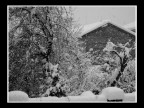 Panasonic DMC-FZ30