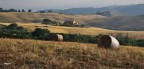 Casolari nella Collina. Casolari nella Collina.
