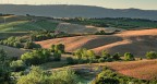 Colline