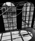 Luce