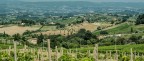 Dintorni San Gimignano.