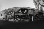 eye