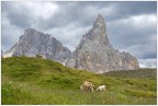 Cimon della pala.