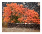 rosso..acero....