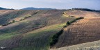Colline Toscane