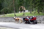 Asfalto e neve