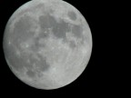 Panasonic DMC-FZ30