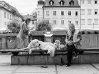 Ljubljana, 2018