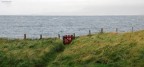 IRLANDA
