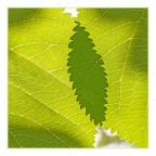 luce e ombra