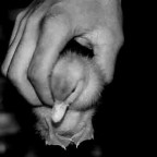 eos5+540ez+105macro+fp4+elit5400