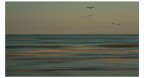 .....volo...shop.... .