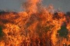 Fuoco