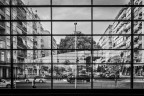 Metropolis