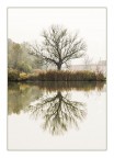 alberi 2