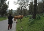 Durante una scampagnata domenicale al bosco della Ficuzza con soniko, bside e scavenger.